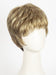 RM12/26CH | Light Brown w/Golden Blonde Highlights on Top