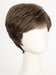 R14/8H | Golden Brown w/Dark Blonde Highlights on Top