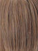 R12/26H | Light Brown with Golden Blonde Highlights on Top